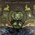 David Lance Callahan – Free Radicals.jpg